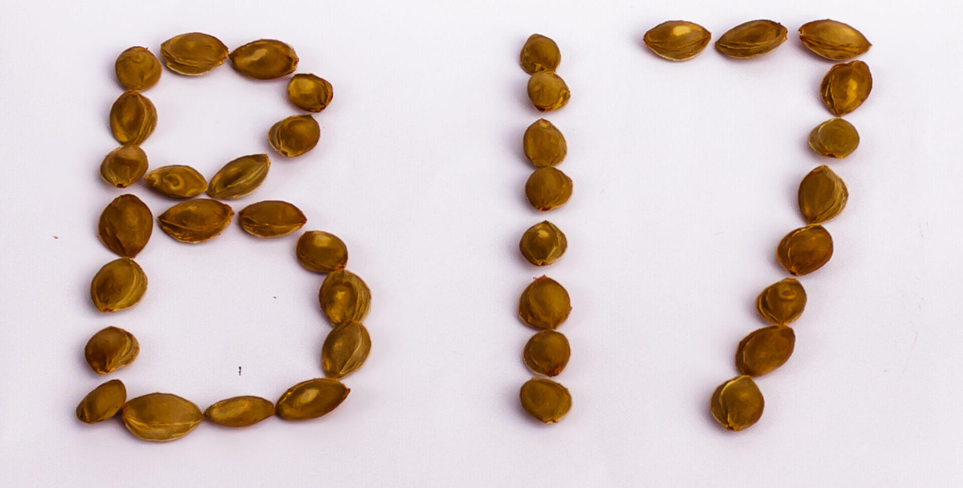 Seeds forming the letters "B17".